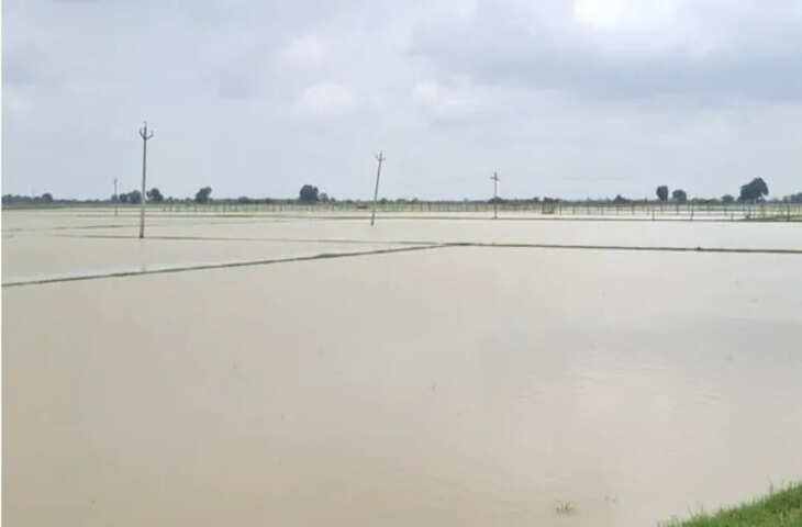 राजस्थान के हाड़ौती संभाग में मानसून से किसानों की उम्मीदों पर पानी, खरीफ फसलों को भारी नुकसान