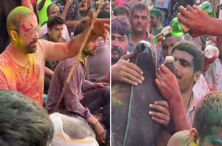 Video: रंगों के त्योहार पर अमानवीयता की हद पार, गाय को जबरन बियर पिलाने का वीडियो वायरल, सोशल मीडिया पर मचा बवाल