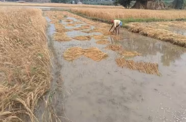 बादलों को देखकर चिंता में गेहूं उत्पादक किसान