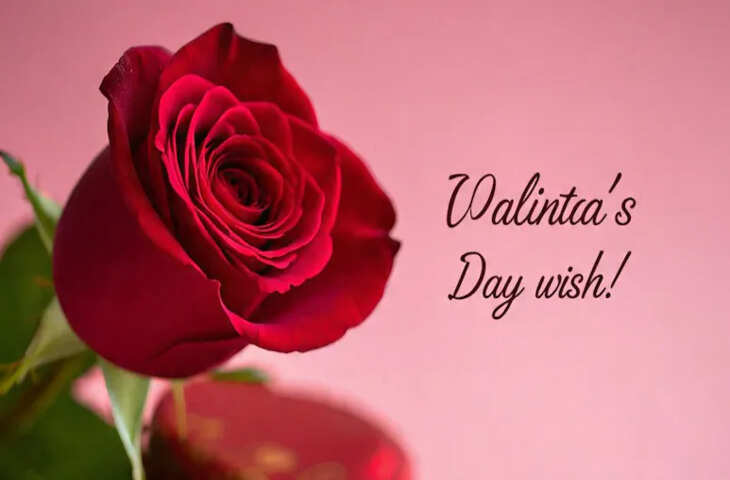 वैलेंटाइन डे 2026: प्यार के रंग में रंगा पूरा संसार, बदल रहा है मनाने का अंदाज