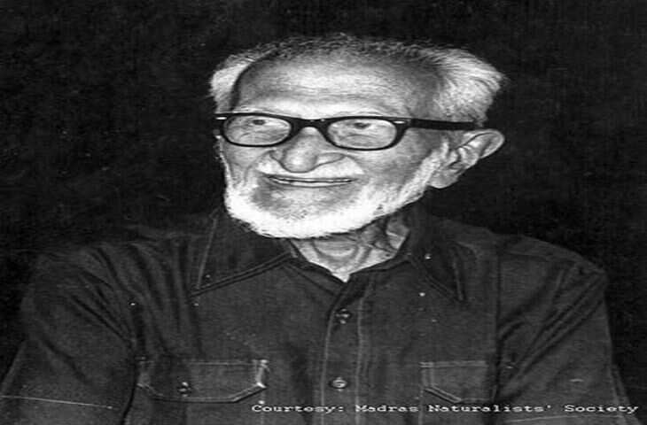 सालिम अली (अंग्रेज़ी:Salim Ali, पूरा नाम: 'सालिम मोइज़ुद्दीन अब्दुल अली', जन्म: 12 नवम्बर, 1896; मृत्यु: 27 जुलाई, 1987) एक भारतीय पक्षी विज्ञानी और प्रकृतिवादी थे। सा