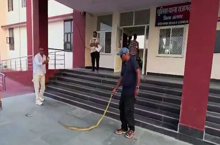 अलवर के राजगढ़ थाने में निकला 8 फीट लंबा &lsquo;घोड़ा पछाड़&rsquo; सांप, वीडियो में जाने पुलिसकर्मियों में मची अफरा-तफरी