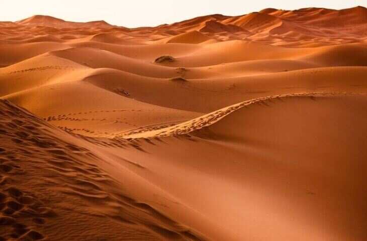 राजस्थान न्यूज़ डेस्क !!!&nbsp; थार मरुस्थल, राजस्थान का वो हिस्सा है जहां होश उड़ा देने वाले पचास डिग्री के तापमान में जानवरों और आग उगलती गर्मी में पानी के लिए Tarsti इंसानी जिंदगी की यात्रा आपका दिल दहला देगी. इस तपती गर्मी में मरते मवेशी, परेशान थार का पशुपालक और उसकी जिंदगी आपको झंझोर कर रख देगी। आज हम आपको बताएंगें कि यहाँ इस जला देने वाली धूप में भी कौन कौन से पेड़ जीवित रह पाते हैं. इस वीडियो में हम देखेंगें कि कैसे यहां इतनी धूप और हड्डियां पिघलाने वाली गर्मी में भी कुछ जानवर आज भी अपना वर्चस्व कायम किये हुए हैं, साथ ही हम जानेंगें भयंकर गर्मी वाले थार मरुस्थल के निर्माण, विस्तार, इतिहास, भूगोल, पर्यावरण, संस्कृति, जलवायु और वनस्पति समेत हर पहलू की विस्तृत जानकारी&nbsp;  थार मरुस्थल की इस रहस्यमय यात्रा पर चलने से पहले, अगर आपने अब तक हमारे चैनल को SUBSCRIBE नहीं किया है तो अभी ही इस वीडियो को लाइक और चैनल को SUBSCRIBE कर लीजिये और हमे कमेंट कर जरूर बताएं की आपको वीडियो कैसा लगा, और अगर आप भी किसी विषय पर वीडियो देखना चाहते हैं, तो कमेंट करके जरूर बताएं की हमारा अगला वीडियो क्या होना चाहिए, तो चलिए शुरू करते हैं थार का रहस्यमयी सफर&nbsp;  थार मरुस्थल जिसे ग्रेट इंडियन Desert के नाम से भी जाना जाता है, भारत के उत्तर पश्चिम तथा पाकिस्तान के दक्षिण पूर्व में पूर्वी सिंध प्रांत से पंजाब तक फैला हुआ हैं। ऐसा कहा जाता है कि थार मरुस्थल का नाम पाकिस्तान में स्थित थारपारकर जगह के नाम पर है। हालाँकि थार शब्द की उत्पत्ति थल से हुई है जिसका शाब्दिक अर्थ रेत का टीला होता है। भारत का ये एक मात्र मरुस्थल लगभग दौ लाख वर्ग किलोमीटर के विशाल क्षेत्र में फैला हुआ है. यह विश्व का 17वाँ सबसे बड़ा मरुस्थल है और 9वाँ सबसे बड़ा गरम उपोष्णकटिबन्धीय मरुस्थल है। थार का 85% भाग भारत और 15% भाग पाकिस्तान में है। भारत में इसका अधिकांश हिस्सा राजस्थान राज्य के हिस्से में आता है, जो लगभग राजस्थान के कुल क्षेत्रफल का 61% है। जैसलमेर, बाड़मेर, बीकानेर और जोधपुर जिले थार मरुस्थल के मुख्य हिस्से हैं, लेकिन इस मरुस्थल का एक बड़ा हिस्सा नागौर, हनुमानगढ़, गंगानगर और चूरू जिलों में भी आता है. थार सिर्फ राजस्थान में ही नहीं बल्कि पाकिस्तान के मीरपुर खास हैदराबाद और सिंध जैसे प्रांतों के एक विशाल भूभाग में भी फैला हुआ है.&nbsp;  आज का थार लाखों वर्ष पहले एक विशाल समुद्र का अभिन्न हिस्सा था, जो समय के साथ धरती की प्लेटें हिलने के चलते समुद्र से अलग हो गया। भौगोलिक परिवर्तनों के चलते इस पुरे हिस्से का पानी पूरी तरह से सूख गया और यहां की जमीन रेतीली भूमि के रूप में उभर कर सामने आई. समय के साथ जलवायु परिवर्तन के चलते ये क्षेत्र धीरे-धीरे मरूस्थल में बदल गया। आज भले ही यह इलाका बंजर होने के साथ सैकड़ों चुनौतियों से भरा है, लेकिन यह प्रकृति की सुंदरता का एक ऐसा विस्तार है जो अपनी कहानी खुद बयान करता है. थार मरुस्थल में पाए जाने वाली रेत ढाई अरब से 57 लाख वर्ष पुरानी पूर्व कैंब्रियन युग की चट्टानों और अवसादी चट्टानों का परिवर्तित रूप है। इस रेगिस्तान की रेत की सबसे नई परत लगभग 16 लाख वर्ष पुरानी मानी जाती है, जो हवा द्वारा आधुनिक भौगर्भिक काल में यहां आकर जम गई थी।&nbsp;  इस रेगिस्तान की सतह अस मान और ऊंची-नीची है, जो रेत के छोटे बड़े टीलों, रेतीले मैदानों और छोटी बंजर पहाड़ियों से विभाजित है। &nbsp;इस पूरे क्षेत्र में खारे पानी की कुछ झीलें पाई जाती है जिन्हें स्थानीय भाषा में ढांढ़ कहते है। थार क्षेत्र में कुल सात श्रेणियों की मिट्टी पाई जाती है, जिसमे मरुस्थली मिट्टी, मरुस्थली लाल मिट्टी, भूरी व काली मिट्टी, तराई की लाल व पीली मिट्टी, खारी मिट्टी, मौसमी छिछली मिट्टी और पहाड़ी इलाकों में मिलने वाली मुलायम भुरभुरी मिट्टी शामिल है। यहां पाई जाने वाली सभी मिट्टियां मुख्य रूप से खुरदरी, चूनेदार, और पूरी तरह शुष्क है, जिसमे चूने का काफी ज्यादा जमाव मिलता है।&nbsp;  थार मरुस्थल राजपूताना और सिन्धु नदी की घाटी के निचले भाग के मध्य में फैला हुआ है। इस मरुस्थल में पानी की भयंकर कमी होने के चलते इसे सिर्फ समूहों में ही पार किया जा सकता है। यह मरुस्थल सिंध को दक्षिण और उत्तरी पश्चिमी भारत से अलग कर के भारत और पाकिस्तान के बीच की सीमा रेखा भी बनाता है। इसी के चलते जब सातसौदस ईस्वी में अरबों ने सिंध इलाके पर विजय की तो इस मरुस्थल के कारण वे भारत में अपने राज्य का विस्तार नहीं कर सके। दूसरी और थार मरुस्थल ने कुछ समय तक अंग्रेज़ों को भी सिंध पर अपना आधिपत्य जमाने से रोके रखा था। अफ़ग़ानिस्तान और पंजाब का प्रवेश द्वार होने के चलते अंग्रेज़ सिंध प्रान्त पर अपनी नजरें गड़ाये हुए थे। हालाँकि बाद में अंग्रेज़ों के द्वारा सिंध प्रान्त के अधिग्रहण के बाद यह मरुस्थल भारतीय ब्रिटिश साम्राज्य का अंग बन गया, जो आगे चलकर भारत और पाकिस्तान में बांट दिया गया।&nbsp;  गर्मी की तपिश में जब यहां की धरती धधक उठती है और तापमान पचास डिग्री सेल्सियस को छू लेता है तो यहां के जीव-जंतु और पेड़-पौधे इस चुनौती का सामना कैसे करते हैं? यह वाकई में किसी करिश्मे से कम नहीं, लेकिन हर कोई पशु इतना मजबूत नहीं होता. शुरुआती गर्मी में ही मवेशी दूर चारे की तलाश में चले जाते हैं और पानी ना मिल पाने की वजह से अपने शरीर को इस तपती गर्मी में जला देते हैं. इस इलाके में एक मात्र पशुपालन पर जीविका टिकी होने के चलते यहां पड़ने वाली भयंकर गर्मी, पानी की कमी और जटिल जलवायु मवेशी पालकों के लिए सबसे बड़ी चुनौती है।&nbsp;  थार रेगिस्तान का विविध पारिस्थितिकी तंत्र, शुष्क वनस्पति क्षेत्र, मानव संस्कृति और पशुओं का जीवन अन्य रेगिस्तानो की तुलना में काफी अलग है। थार मरुस्थल में लगभग 23 प्रजातियों की छिपकली और 25 प्रजातियों के सांप पाए जाते हैं। इसके अलावा इसके गुजरात के कच्छ से जुड़े क्षेत्र में कृष्णमृग और चिंकारा आदि भी देखने को मिलते हैं। पक्षियों की प्रजातियों में यहां मोर, ईगल, हैरियर, फाल्कन्स, बज़ार्ड, केस्टेल और गिद्ध पाए जाते हैं। साथ ही थार मरुस्थल में कुछ ऐसी वन्य प्रजातियाँ देखने को मिलती हैं जो विलुप्त होने की कगार पर हैं। द ग्रेट इंडियन डेजर्ट को मुख रूप से ब्लैकबक, ग्रेट इंडियन बस्टर्ड, भारतीय जंगली गधा, काराकल, गोल्डन फॉक्स आदि के लिए जाना जाता हैं। इसके साथ ही थार मरुस्थल के जैसलमेर में डेजर्ट नेशनल पार्क स्थित हैं, जहां लगभग 180 मिलियन वर्ष पुराने जीव-जंतु और पौधों के जीवाश्मों का संग्रह स्थल है। डेजर्ट नेशनल पार्क में आप 6 मिलियन वर्ष पुराने डायनासोर के जीवाश्मों को भी देख सकते हैं।  थार रेगिस्तान में जड़ी-बूटियों की बेशकीमती प्रजातियों सहित कई प्रकार की वनस्पति पाई जाती है, इनमे मुख्य रूप से बबूल जेकमोंटोनी, बालानाइट्स रोक्सबर्गी, कैलोट्रोपिस प्रोकेरा, लाय्सियम बर्बरम, लाइबेरन बर्बेरनिका, ज़िज़िफस, झरबेर, सुआडा फ्रेटिकोसा, क्रोटलारिया बुरहिया, ऐरवा लिप्टाडेनिया पाइरोटेक्निका, लिज़ैबर बार, लाइबेरन बर्बेरिनिया, छुई मुई हमता, ओक्टोचलोआ कोम्प्रेसा, जवनिका, भैंस मल्टीफ्लोरम, लसीसुरस सिंडीसस, डायकोन्थियम एनालाटस, डैक्टाइलोक्टेनियम स्काइंडिकम, सेनच्रस सेटिगरस, दूब घास, डेंटम टर्गिडम, कुटकी, सेन्क्रस बाइफ्लोरस, स्पोरोबोलस मार्जिनबुलस मार्जिन आदि शामिल हैं।  यहां के रीति-रिवाज, परंपरा और वेशभूषा में विविधता होने के बाद भी ये भारत की एकता का एक अद्भुत उदहारण है। थार में प्रमुख रूप से हिंदू और मुसलमान दोनों ही संप्रदायों के लोग रहते हैं, जो जनसंख्या, जटिल आर्थिक व सामाजिक आधारों पर बटें हुए है। थार के मरुस्थल में रहने वाले लोग वीर एवं साहसी होते हैं जिनमे देश प्रेम की भावना कूट-कूट कर भरी होती है। रोजगार के अधिक साधन नहीं होने के चलते पशुपालन यहां का मुख्य व्यवसाय है। यहां के लोग पशुओं में गाय, बैल, भैंस, बकरी, भेड़, घोड़े और गधे इत्यादि जानवरों को पालते हैं, लेकिन यहां सबसे मुख्य रूप से ऊंट को पाला जाता है। यहाँ का सबसे प्रमुख प्राकृतिक संसाधन घास है, जिससे पशुओं के लिए प्राकृतिक चारा तो मिलता ही है, साथ ही स्थानीय लोग इससे दवा भी बनाते हैं।&nbsp;  थार का रेगिस्तान जहां एक साँस लेना भी मुश्किल होता है वहां लगभग 40 लाख लोगों ने अपना घर बसाया हुआ है। ये वो लोग है जिनकी आजीविका पशुपालन और जीवन प्रकृति पर निर्भर है। यहां एक मटकी पानी के लिए लोगों को कई किलोमीटर पैदल चलना पड़ता है, कई बार ये दूरी 30 से 40 किलोमीटर तक भी हो जाती है। यहां विभिन तरीकों से पानी का संचय किया जाता है, जिसमे सबसे अधिक टंका प्रणाली का उपयोग किया जाता है। इसमें लोग अपने घरों के आस-पास जमीन के अंदर एक पानी की टंकी बना देते हैं, इसके एक निचले हिस्से में से बारिश का पानी टंकी में चला जाता है, जिसे भविष्य में पानी की जरूरतों के अनुसार काम में लिया जा सकता है। इस इलाके में पानी की बेहद कमी होने के चलते मौसमी वर्षा के पानी को कुंडों और जलाशयों में इकठ्ठा कर, इसका इस्तेमाल पीने और अन्य घरेलू उपयोगों में होता है। यहां का पानी खारा होने और जलस्तर काफी निचे होने के चलते भूमिगत जल का इस्तेमाल नहीं किया जाता है।&nbsp;  कुओं और जलाशयों के अलावा नहरें भी थार में पानी का प्रमुख स्रोत हैं। इस इलाके में पानी उपलब्ध होने पर गेंहू और कपास जैसी फ़सलें उगाई जाती हैं। इस इलाके में पानी की कमी दूर करने के लिए 1932 में सिंधु नदी पर सुक्कर बांध बनाया गया था। इसके साथ ही पंजाब में सतलुज और व्यास नदियों के संगम पर बने हरि के बैराज से निकलने वाली गंग नहर से थार के उत्तरी हिस्से में सिंचाई का काम होता है। यह नहर भारत के दक्षिण-पश्चिम दिशा में करीब 470 किलोमीटर का सफर तय कर थार पहुंचती है।&nbsp;  थार के रेगिस्तान में यूँ तो यातायात के अधिक साधन मौजूद नहीं है, लेकिन पाकिस्तान से इसकी सीमा लगने के चलते इसके जैसलमेर को एयरपोर्ट और रेलवे से जोड़ा गया है। थार के दक्षिणी भाग में एक रेलवे लाइन है जो मेड़ता रोड से बीकानेर होकर सूरतगढ़ पहुंचती है, और उत्तरी हिस्से में एक दूसरी रेलवे लाइन है जो जोधपुर और जैसलमेर को जोड़ने का काम करती है। थार मरुस्थल हर साल आधा किलोमीटर की रफ्तार से उत्तर-पूर्व की ओर बढ़ रहा है, जिससे आने वाले वक़्त में यह भारत के भू-उपयोग का नक्शा पूरी तरह से बदल देगा। इसरो की एक रिपोर्ट के अनुसार राजस्थान की पहचान कहे जाने वाला थार मरुस्थल अब हरियाणा, पंजाब, उत्तर प्रदेश तथा मध्य प्रदेश में भी अपने पाँव पसार रहा हैं। इससे कृषि और वानिकी पर आजीविका चला रहे इन राज्यों के साठ प्रतिशत लोगों के सामने रोजी-रोटी का संकट खड़ा होने की आशंका पैदा हो गई है। लेकिन थार रेगिस्तान को आगे बढ़ने से रोकने के लिए भारत सरकार ने 649 किलोमीटर लंबी इंदिरा गाँधी नहर बनाई है। इस नहर से रेगिस्तानी इलाको में भी हरियाली लाने कि एक सफल कोशिश की जा रही है। अगर आप इंदिरा गाँधी नहर के बनने से इसके राजस्थान के लोगों के जीवन को बदलने तक की पूरी जानकारी जानना चाहते हैं तो आपको इसके वीडियो का लिंक डिस्क्रिप्शन में मिल जायेगा। &nbsp;इसके साथ ही दुनिया की सबसे पुरानी अरावली पर्वतमाला भी थार रेगिस्तान को देश के बाकि हिस्सों में बढ़ने से रोकती है। अरावली पर्वतमाला के बारे में विस्तार में जानने के लिए आपको वीडियो के डिस्क्रिप्शन में इसका लिंक मिल जायेगा।&nbsp;  तो दोस्तों ये था राजस्थान का मशहूर थार मरुस्थल, वीडियो देखने के लिए धन्यवाद, अगर आपको यह वीडियो पसंद आया तो प्लीज कमेंट कर अपनी राय दें, चैनल को subscribe करें, वीडियो को लाइक करें, और अपने फ्रेंड्स और फेमिली के साथ इसे जरूर शेयर करें, ऐसे ही ओर वीडियो देखने के लिए ऊपर दी गई प्लेलिस्ट पर क्लिक करें और जानें राजस्थान के प्रसिद्ध मंदिर, मस्जिद, किलों और पर्यटक स्थलों से जुडी हर जानकारी।