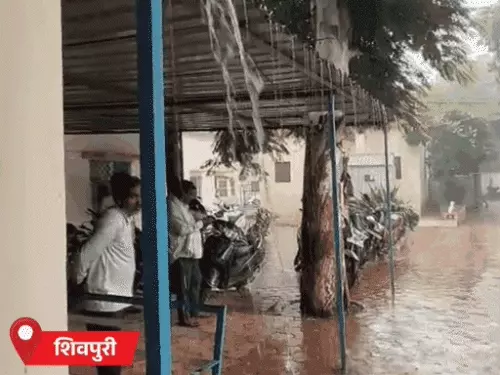 MP के 12 जिलों में आज भारी बारिश का अलर्ट, टीकमगढ़-पन्ना-नरसिंहपुर में 8 इंच तक बारिश की चेतावनी