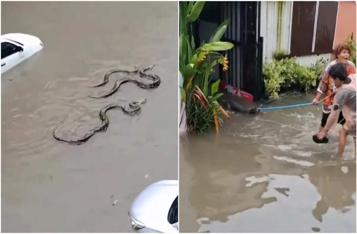 बैंकॉक में बाढ़ से बिगड़े हालात, गलियों में तैर रहे सांप और मगरमच्छ, शहर में 'आपदा' घोषित