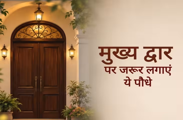 Vastu Tips: मुख्य द्वार पर लगाएं ये 5 पौधे, घर में सुख-शांति और बरकत आने की मान्यता