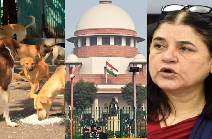 आवारा कुत्तों के मामले में सुप्रीम कोर्ट ने मेनका गांधी पर लगाई फटकार,&nbsp;भाषा और बॉडी लैंग्वेज पर भी उठाए सवाल