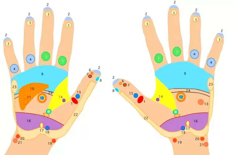 palmistry reading parvat yog in hand makes people lucky 