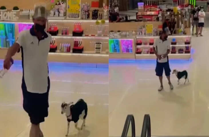 सोशल मीडिया पर वायरल वीडियो ने लगाई आग, मॉल में पालतू बकरी के साथ घूमता दिखा शख्स, लोगों में हड़कंप