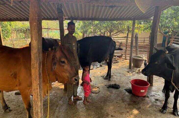 दुर्लभ श्यामा गाय की खास कहानी, परिवार ने आज तक नहीं बेचा दूध, कृष्ण से जुड़ी है मान्यता