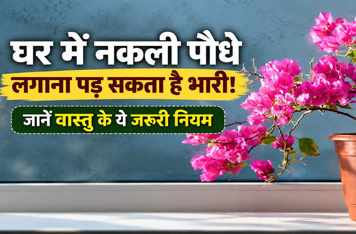घर में नकली पौधे लगाना पड़ सकता है भारी! जानें वास्तु के ये जरूरी नियम