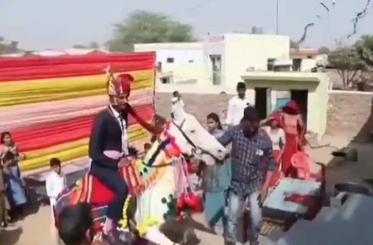 दूल्हे की एंट्री बनी हादसा घोड़ी पर चढ़कर सीढ़ी चढ़ना पड़ा भारी, वीडियो देख आप भी पकड़ लेंगे माथा&nbsp;