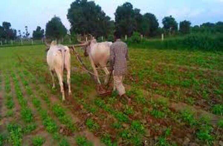 5 एकड़ खेत के लिए कौन सा ट्रैक्टर सही रहेगा? जानिए सही HP रेंज