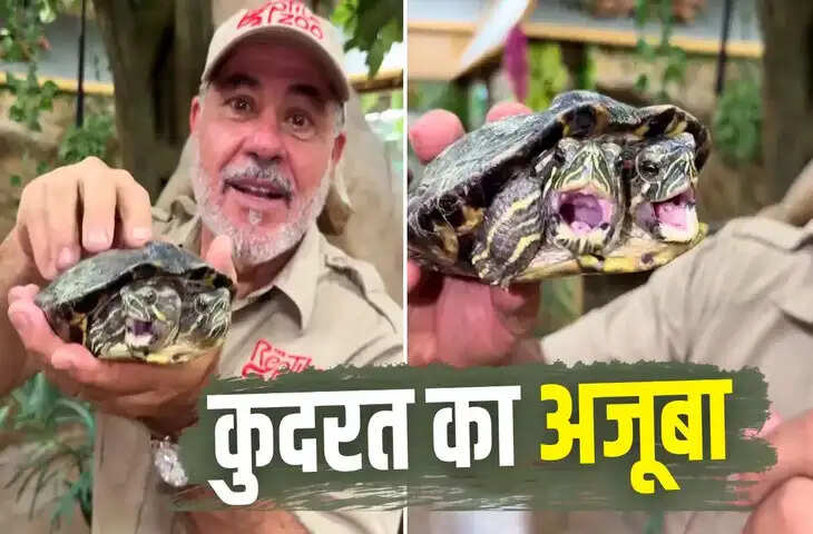 Two Headed Turtle Viral Video: इंस्टाग्राम पर दो सिर वाले कछुए का वीडियो वायरल, जू संचालक जेड ब्रेवर ने किया शेयर