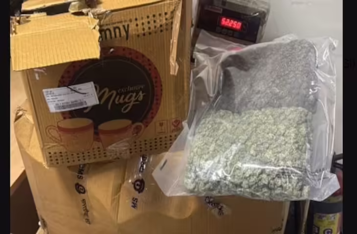 IGI एयरपोर्ट पर कस्टम की बड़ी कार्रवाई: बैंकॉक से लौटे 6 यात्री गिरफ्तार, 48 करोड़ से ज्यादा कीमत का गांजा बरामद