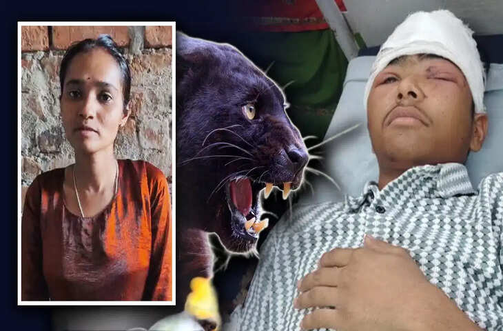 पैंथर से मुकाबला कर बहन ने बचाई भाई की जान, सवाई माधोपुर में साहस की मिसाल; टोडरा गांव में देर रात हुआ हमला