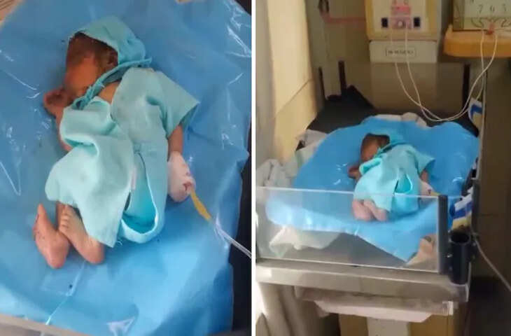 जालोर में झाड़ियों में मिला नवजात, राहगीरों ने बचाई जान, पुलिस जांच में जुटी