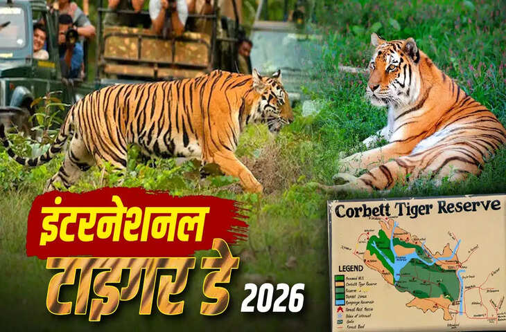 International Tiger Day 2026: कॉर्बेट टाइगर रिजर्व में 260 से ज्यादा बाघों की मौजूदगी, प्रोजेक्ट टाइगर की सफलता की मिसाल बना उत्तराखंड