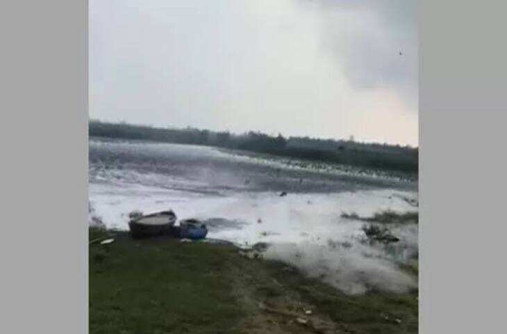 Bear Saved Girl's Life: लापता बच्ची झाड़ियों में मिली सुरक्षित, बोली- भालू ने बचाई मेरी जान