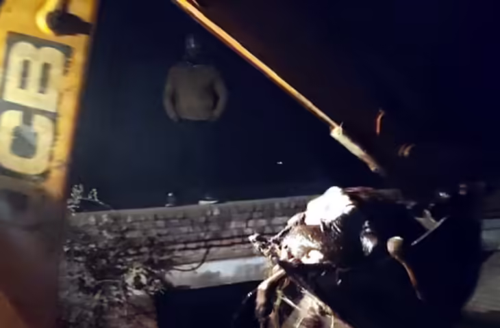 चंबल नहर में बहकर आईं 12 मृत गायें, किसानों और किसान यूनियन ने जांच की मांग की