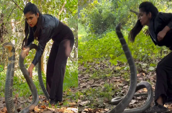 किंग कोबरा का Kiss लेने के चक्कर में कट जाता दीदी का टिकट, वायरल वीडियो देख काँप जायेगी रूह&nbsp;