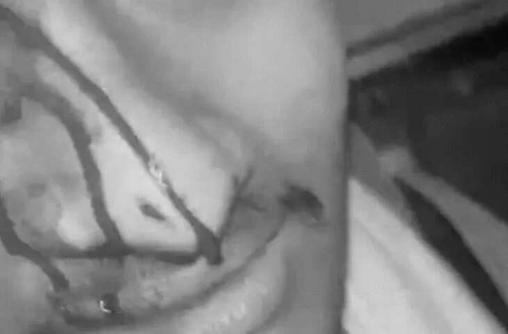 जयपुर में रोडवेज बस ड्राइवर ने यात्री का फोडा सिर, वीडियो में जानें रोकने की बात पर पाइप से मारा