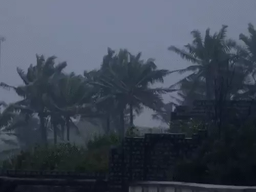 Cyclone Arnab: आंध्र प्रदेश के तट से टकराया तूफान, 135 किमी/घंटे की रफ्तार से चली हवाएं; कई राज्यों में अलर्ट