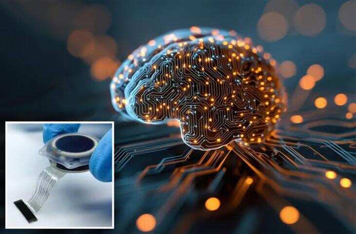 Neuralink से आगे निकला चीन? दुनिया की पहली 'सेल के लिए तैयार' ब्रेन चिप का सफल इम्प्लांट, जानिए क्यों है खास&nbsp;