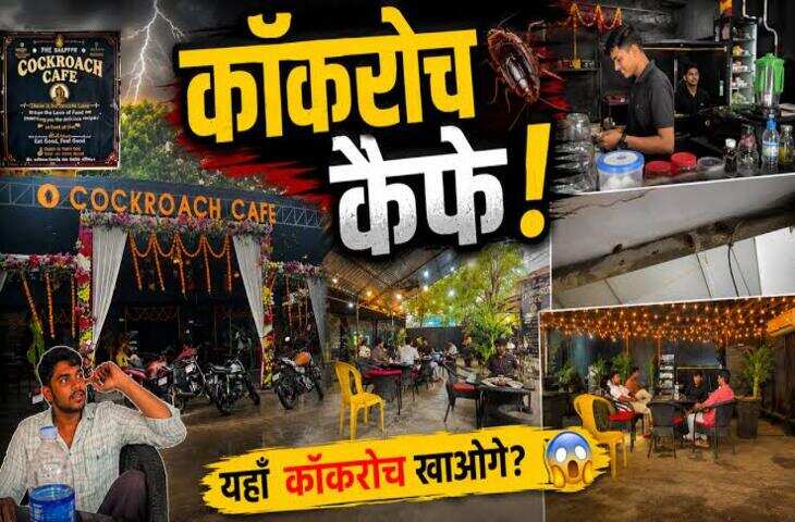 बिहार का 'कॉकरोच कैफे' सोशल मीडिया पर वायरल, यूनिक नाम देखकर लोगों ने दिए मजेदार रिएक्शन