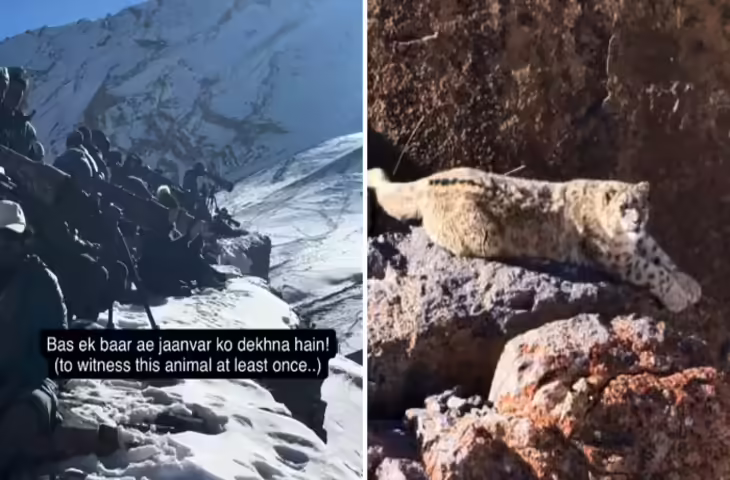 हिमालय की 15,000 फीट ऊंचाई पर &lsquo;पहाड़ों के भूत&rsquo; की तलाश, वाइल्डलाइफ एक्सपीडिशन की रोमांचक कहानी वायरल