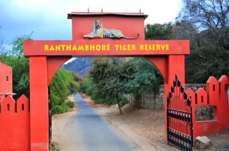 रणथम्भौर टाइगर रिजर्व: दो मिनट के वायरल वीडियो में देंखे 1000 साल पुराना इतिहास और 10 जोनों की रोमांचक बाघ दुनिया