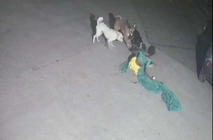 श्रीगंगानगर में महिला पर कुत्तों ने किया हमला, एक्सक्लूसिव फुटेज में देंखे पैर फिसलने से गंभीर चोटें