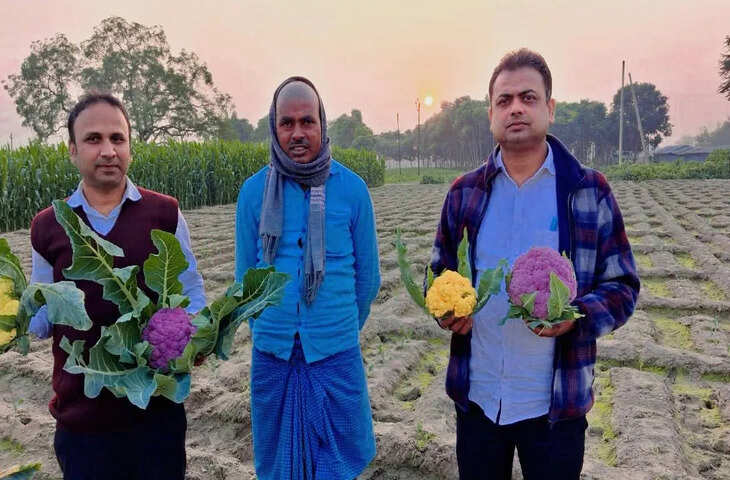 पीली, नीली और हरी&hellip; अलग-अलग रंग की गोभी उगा पूर्णिया के किसान ने चौंकाया, फायदे जान हैरान रह जाएंगे!