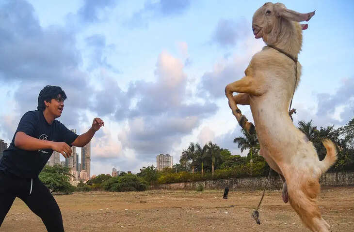 मुंबई में बकरीद से पहले बढ़ा विवाद! गोरेगांव-घाटकोपर में कुर्बानी को लेकर रहिवासियों की शिकायत