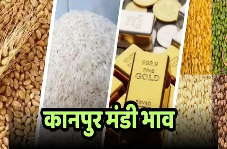 कानपुर थोक बाजार भाव 17 फरवरी 2026: अनाज, दाल, तेल और कीमती धातुओं के ताजा रेट