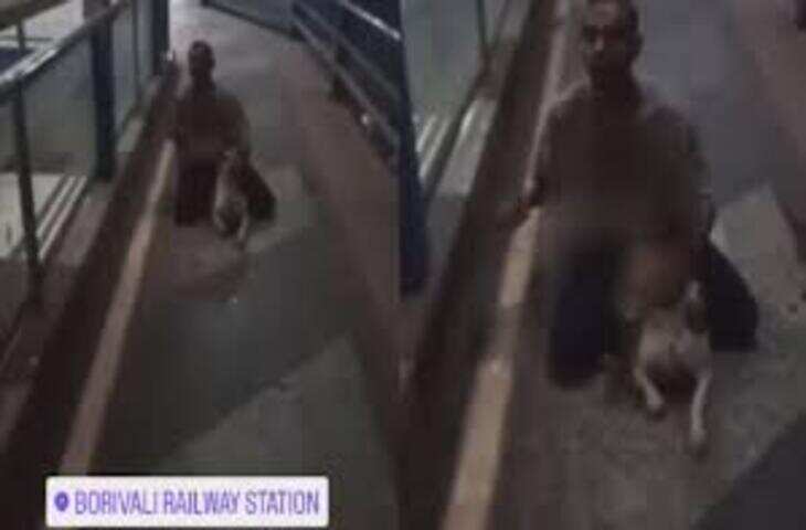 रैंप पर चढ़ डॉगेश भाई ने किया कांड, मॉडल के पास ही कर दिया पेशाब, वीडियो वायरल