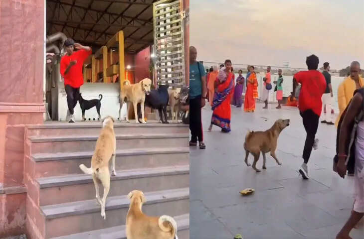 स्टंट के चक्कर में लग जाते 14 इंजेक्शन, डॉगेश गैंग ने लड़के की कर दी ऐसी हालत वीडियो देख नहीं रुकेगी हंसी&nbsp;