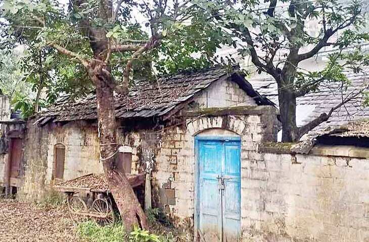 Mandi राजाओं के जमाने की इमारत पर झाड़ियाँ