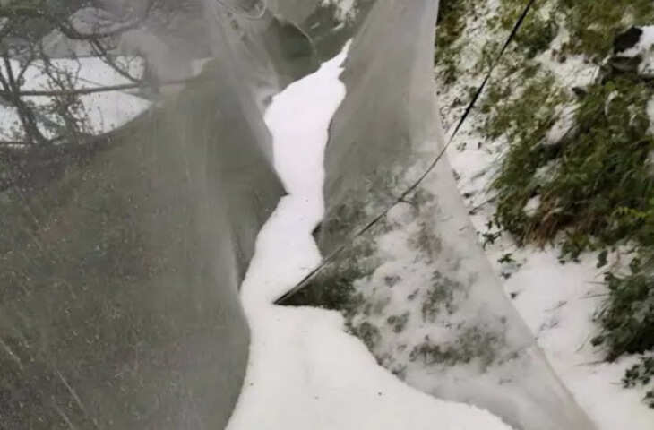 Weather Alert: Sikkim में भारी बर्फबारी और लैंडस्लाइड, 1500 पर्यटक फंसे; Uttar Pradesh में बिजली गिरने से 15 मौतें