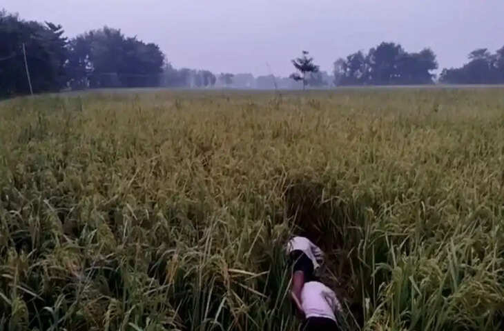 सीतामढ़ी में खेत में बिछाए करंट की चपेट में आए तीन लोग, भैंस बचाने पहुंचे थे; तीनों की मौत