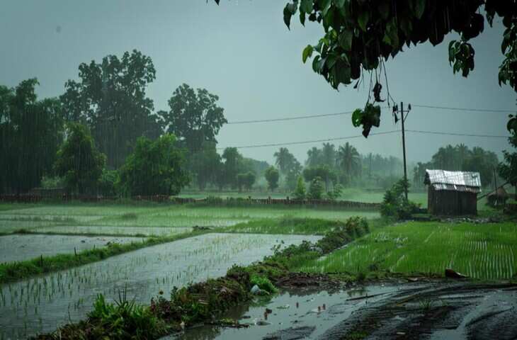 मौसम का बड़ा अपडेट! अगले एक हफ्ते भारी बारिश की संभावना, फसल बचाने के लिए किसान अभी करें ये काम