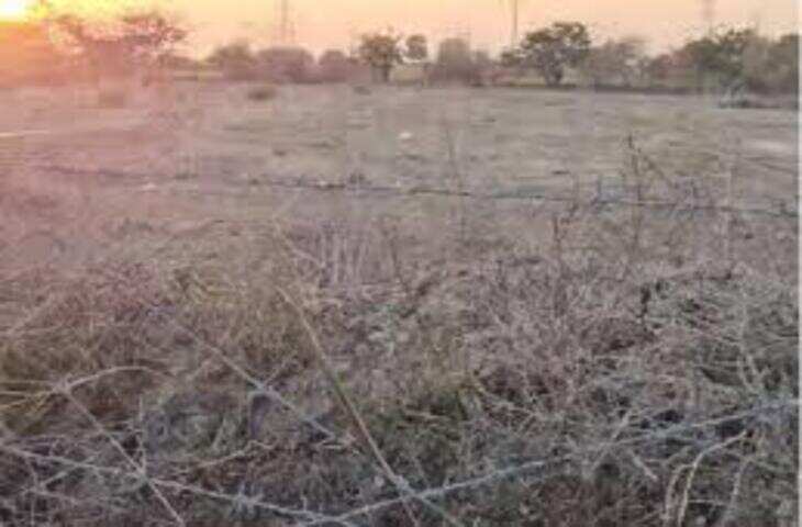 भरतपुर में मियावाकी तकनीक से विकसित हो रहा मिनी जंगल, वीडियो में देंखे वन्यजीवों को मिलेगा नया आशियाना