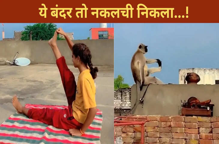 लड़की को देख बंदर भी करने लगा योगा, क्या आपने देखा ये मजेदार VIDEO?