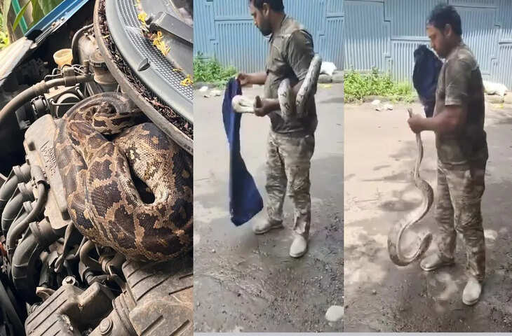 मुंबई में कार की बोनट में बैठा मिला विशालकाय अजगर, दंग रह गए लोग; सामने आया हैरान कर देने वाला VIDEO