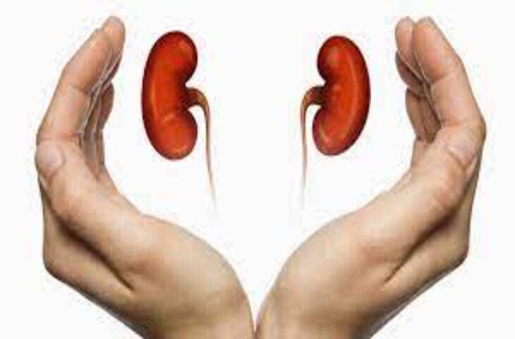 Pulwama गुर्दा प्रत्यारोपण से श्रीनगर की 51 वर्षीय महिला की जान बची