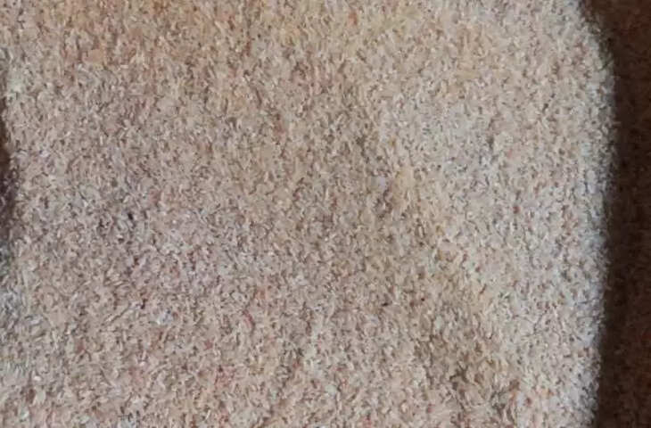 Jamshedpur लापरवाही का भेंट चढ़ा सैकड़ों क्विंटल गरीबों का अनाज