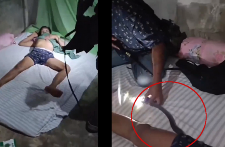 रात को सो रहा था शख्स, तभी निक्कर में घुस गया खतरनाक सांप, फिर ऐसे निकाला बाहर