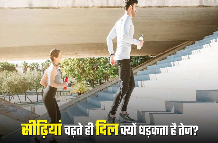 सीढ़ियां चढ़ते समय दिल तेज धड़कता है हार्ट 'प्रॉब्लम या एंजाइटी'... जाने इसके पीछे छिपे कारण और किस बिमारी का संकेत&nbsp;