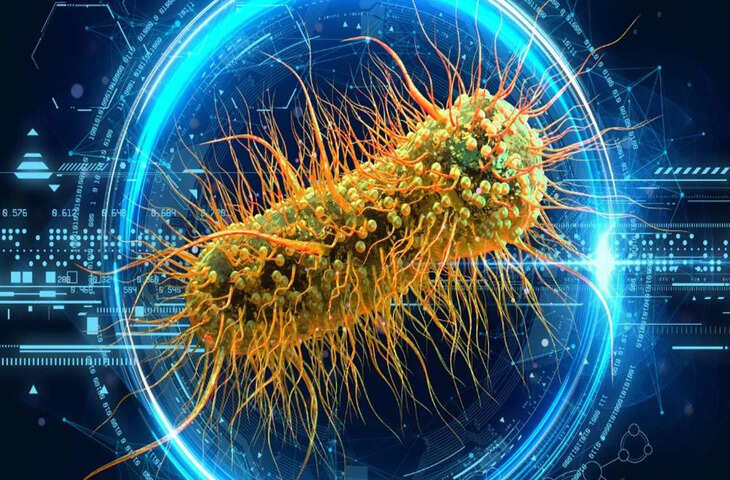 सुपरबग का साइलेंट अटैक: एंटीबायोटिक के अंधाधुंध इस्तेमाल से देश नई महामारी की कगार पर&nbsp;