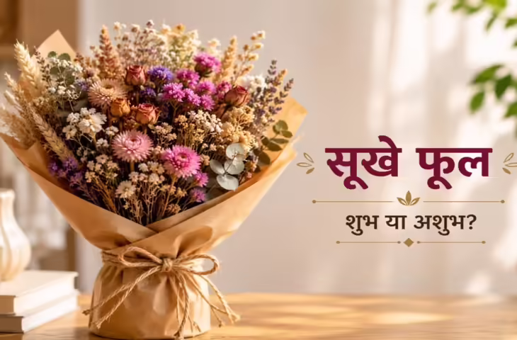 Dried Flower Fengshui Tips: सूखे फूल घर में रखने चाहिए या नहीं? जानें फेंगशुई की मान्यताएं और सही उपयोग